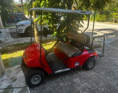 Golf cart Ezgo 1